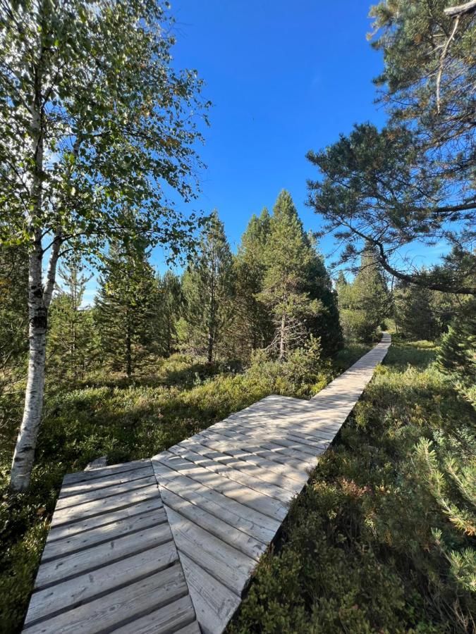 Apartment Annis Panoramablick Pool Sauna Tennis Schonach im Schwarzwald 外观 照片