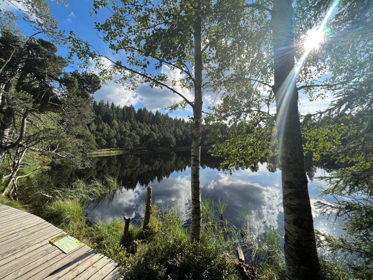 Apartment Annis Panoramablick Pool Sauna Tennis Schonach im Schwarzwald 外观 照片