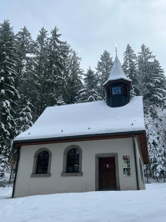Apartment Annis Panoramablick Pool Sauna Tennis Schonach im Schwarzwald 外观 照片