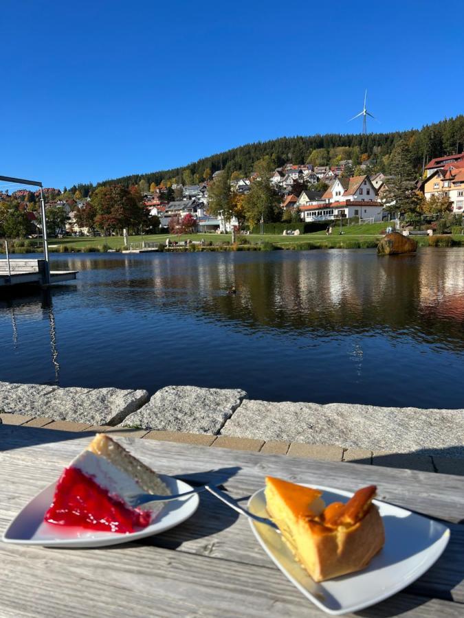 Apartment Annis Panoramablick Pool Sauna Tennis Schonach im Schwarzwald 外观 照片