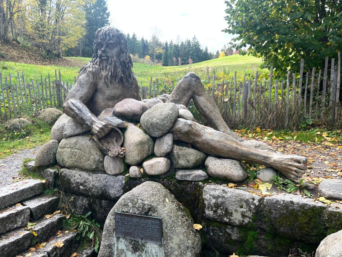 Apartment Annis Panoramablick Pool Sauna Tennis Schonach im Schwarzwald 外观 照片