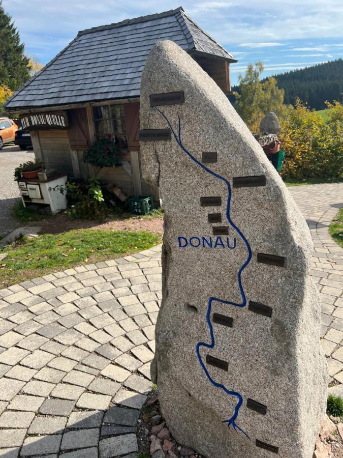 Apartment Annis Panoramablick Pool Sauna Tennis Schonach im Schwarzwald 外观 照片