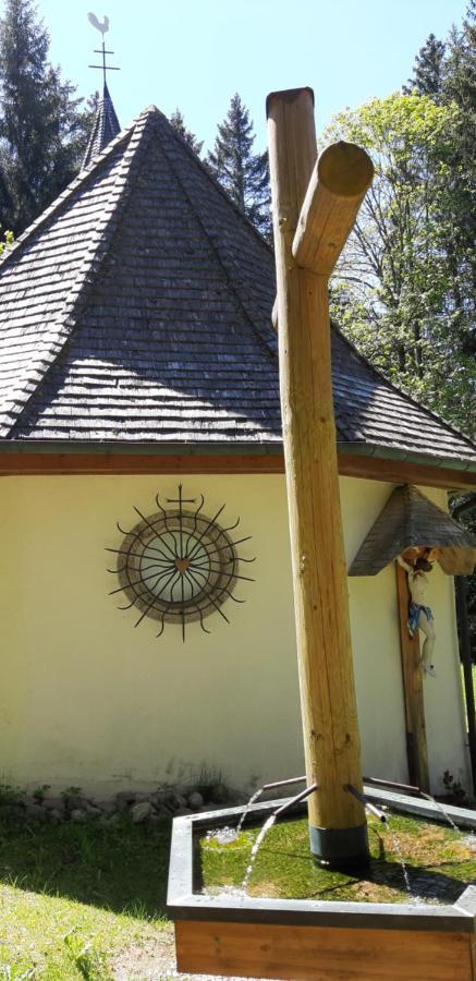 Apartment Annis Panoramablick Pool Sauna Tennis Schonach im Schwarzwald 外观 照片